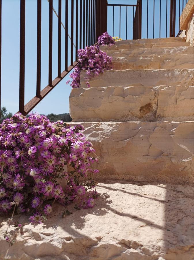 Villetta Cipolliane Santa Maria di Leuca ภายนอก รูปภาพ