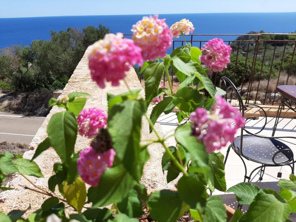 Villetta Cipolliane Santa Maria di Leuca ภายนอก รูปภาพ